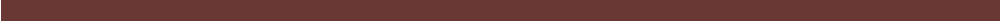 solid block of maroon running full width of the page as a divider